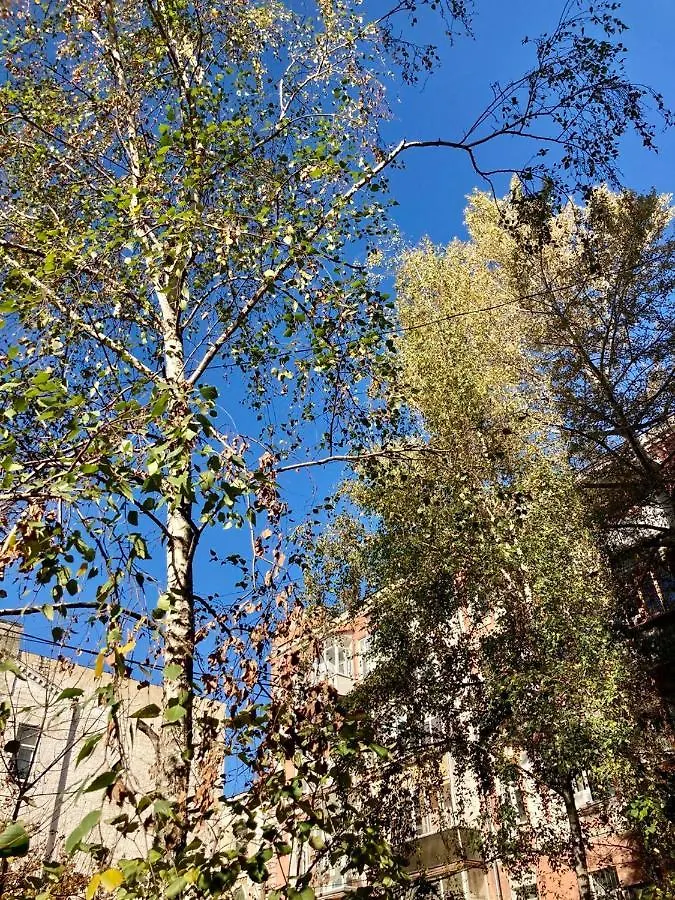 1Br Apartment In The Old City Center キエフ 0*,  ウクライナ