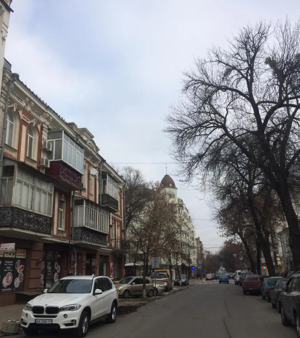 1Br Apartment In The Old City Center キエフ